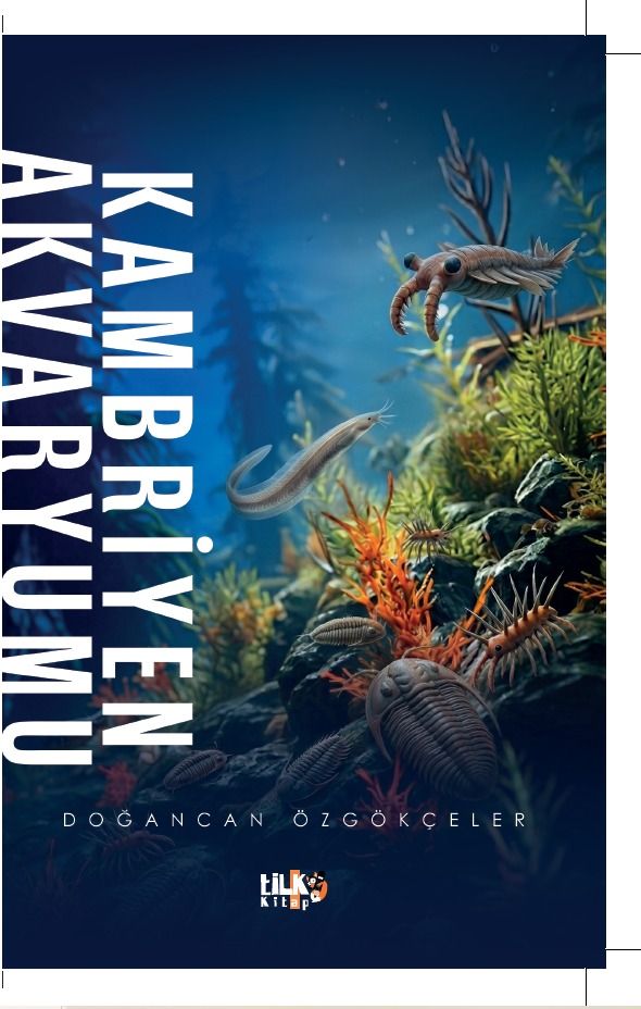 Doğancan Özgökçeler - Kambriyen Akvaryumu